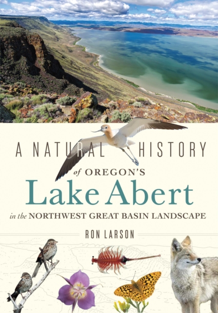 A Natural History of Oregon's Lake Abert in the Northwest Great Basin Landscape, Paperback / softback Book