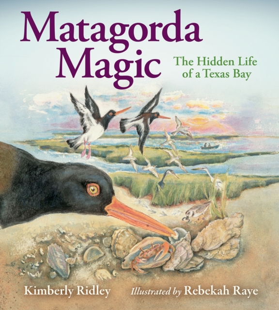 Matagorda Magic : The Hidden Life of a Texas Bay, Hardback Book