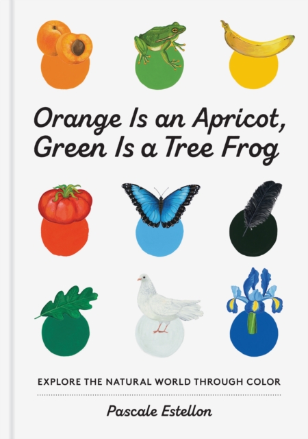 Orange Is an Apricot, Green Is a Tree Frog, Hardback Book