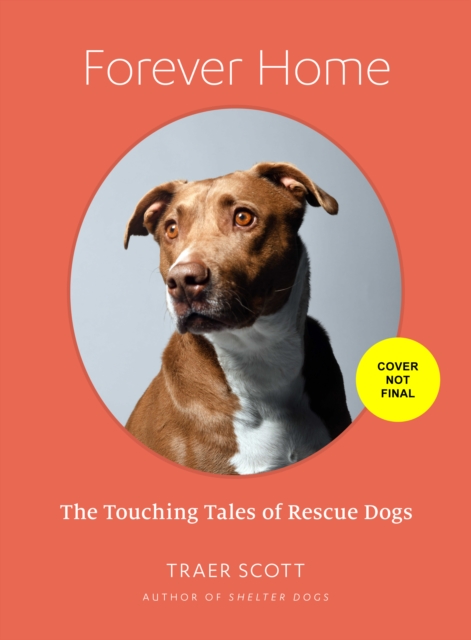 Forever Home : The Inspiring Tales of Rescue Dogs, Hardback Book