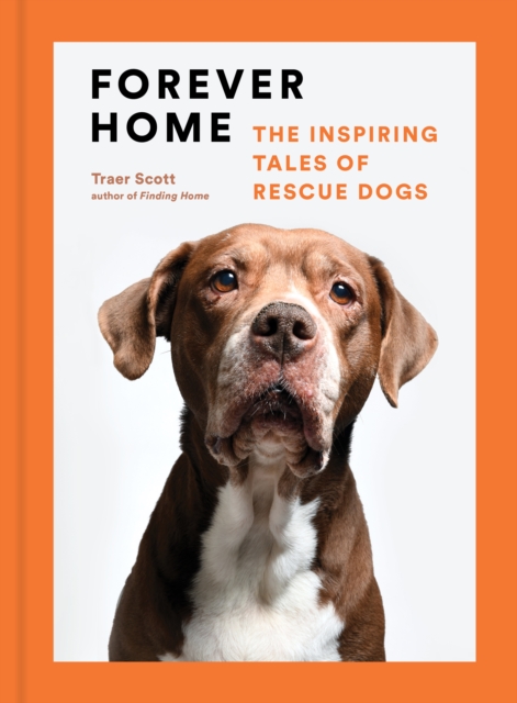 Forever Home : The Inspiring Tales of Rescue Dogs, EPUB eBook