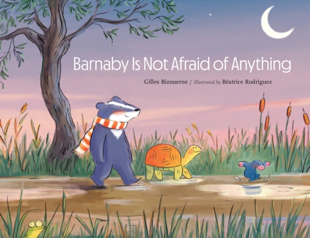 Barnaby Is Not Afraid of Anything, Hardback Book