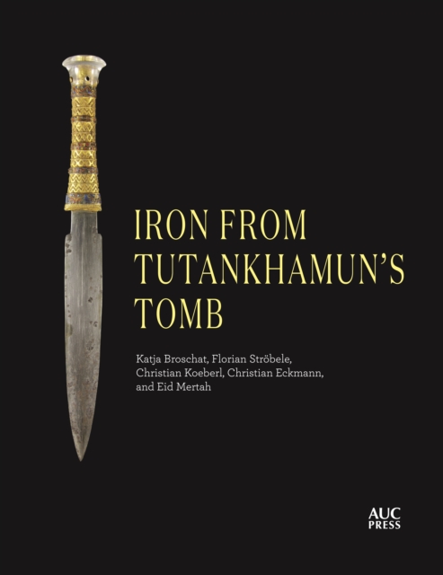 Iron from Tutankhamun's Tomb, PDF eBook