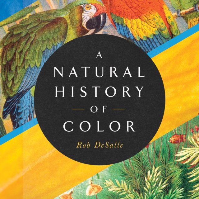 A Natural History of Color, eAudiobook MP3 eaudioBook