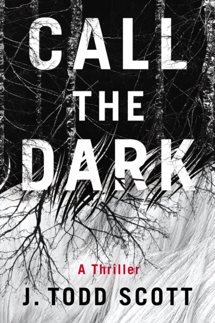 Call the Dark : A Thriller, Paperback / softback Book