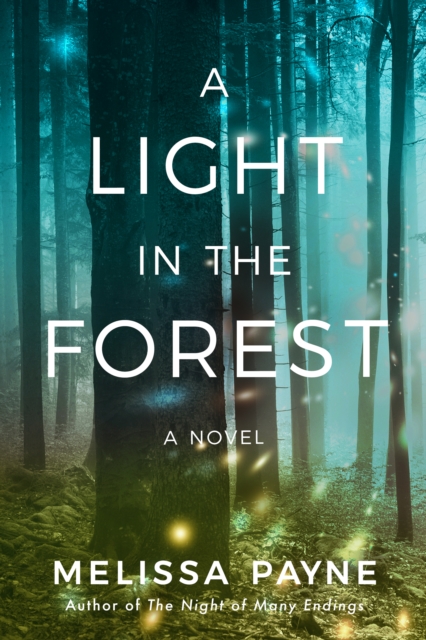 A Light in the Forest : A Novel, Paperback / softback Book