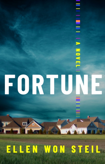 Fortune : A Novel, Paperback / softback Book