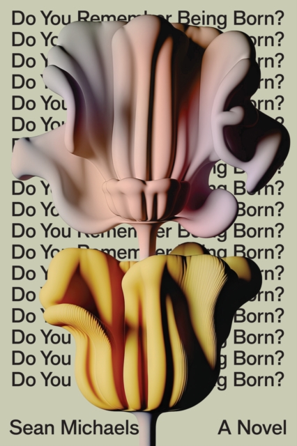 Do You Remember Being Born? : A Novel, Hardback Book