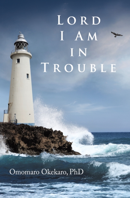 Lord I Am in Trouble, EPUB eBook