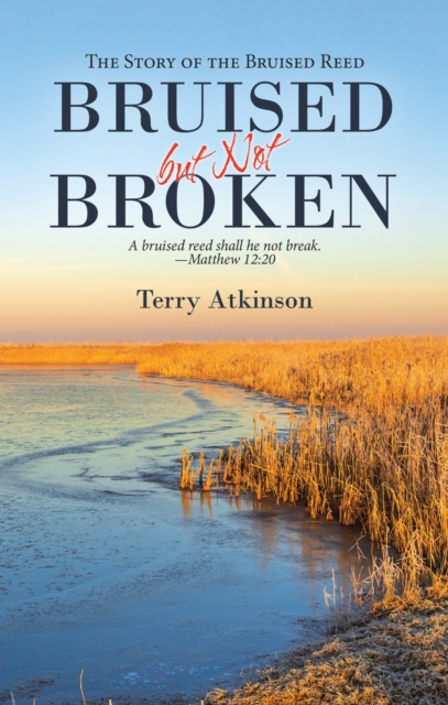 Bruised but Not Broken : The Story of the Bruised Reed, EPUB eBook