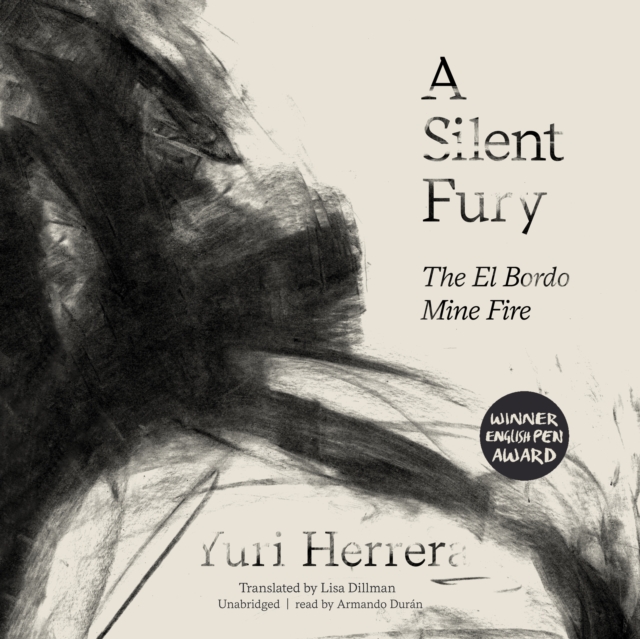 A Silent Fury, eAudiobook MP3 eaudioBook