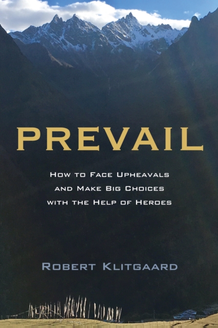 Prevail : How to Face Upheavals and Make Big Choices with the Help of Heroes, EPUB eBook