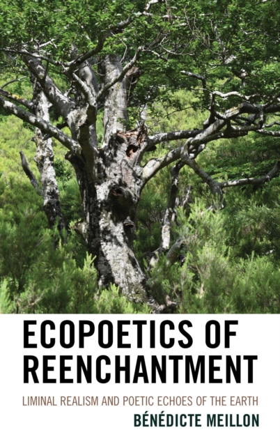 Ecopoetics of Reenchantment : Liminal Realism and Poetic Echoes of the Earth, EPUB eBook