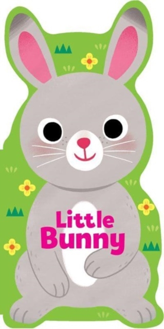 Little Bunny, Board book Book
