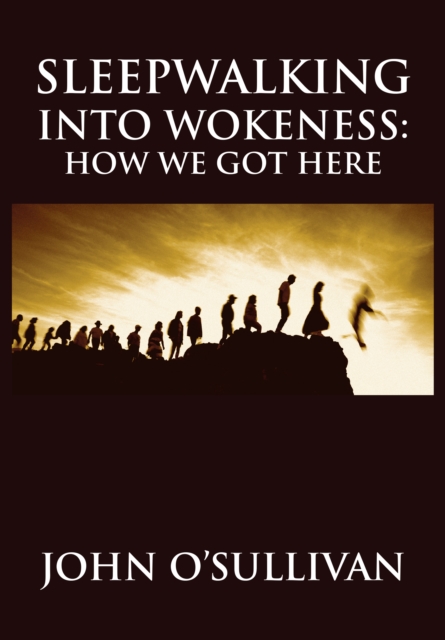 Sleepwalking Into Wokeness : How We Got Here, EPUB eBook