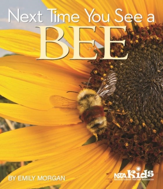 Next Time You See a Bee, Paperback / softback Book