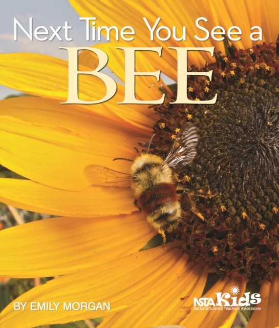 Next Time You See a Bee, PDF eBook