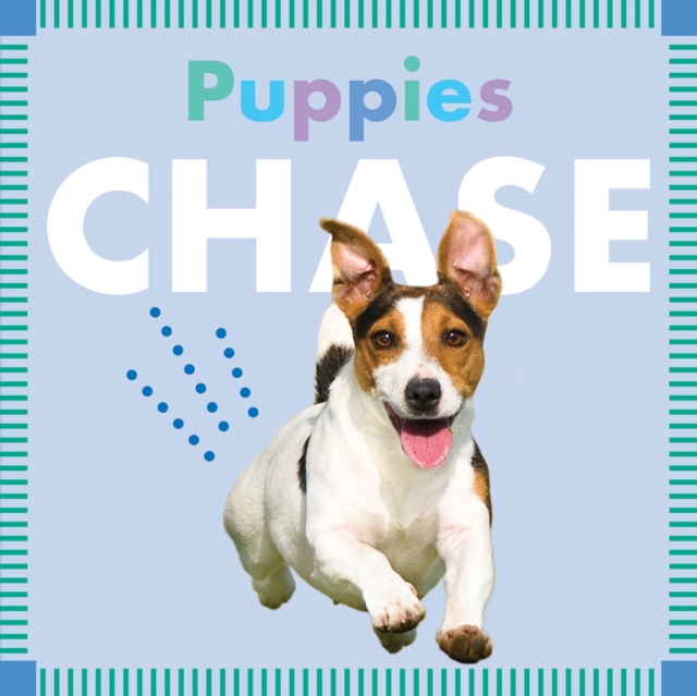Puppies Chase, Board book Book
