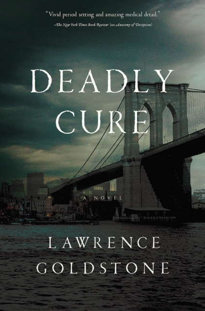 Deadly Cure : A Novel, Hardback Book