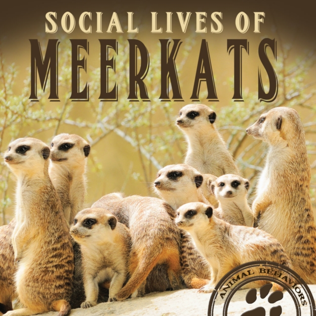 Social Lives of Meerkats, PDF eBook