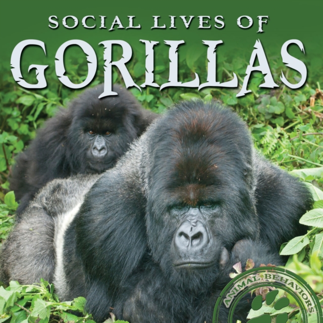 Social Lives of Gorillas, PDF eBook