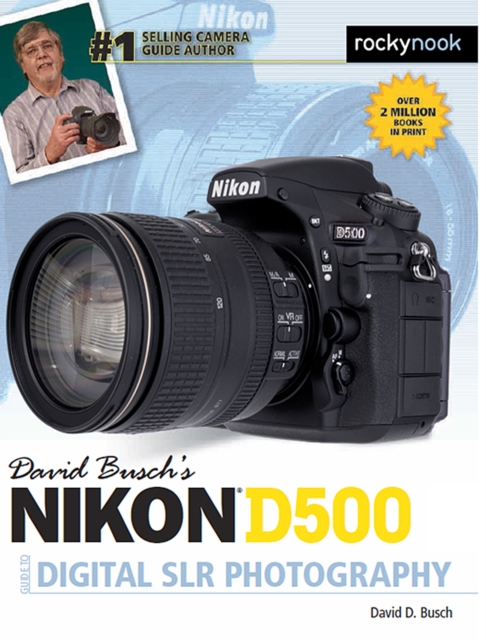 David Busch's Nikon D500 Guide to Digital SLR Photography, PDF eBook