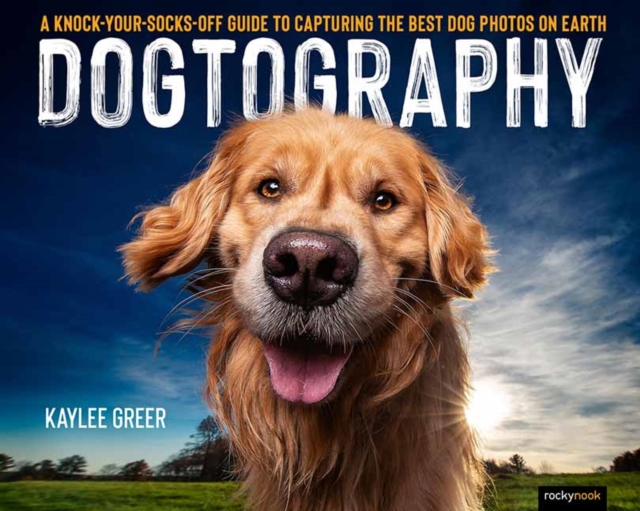 Dogtography, Paperback / softback Book