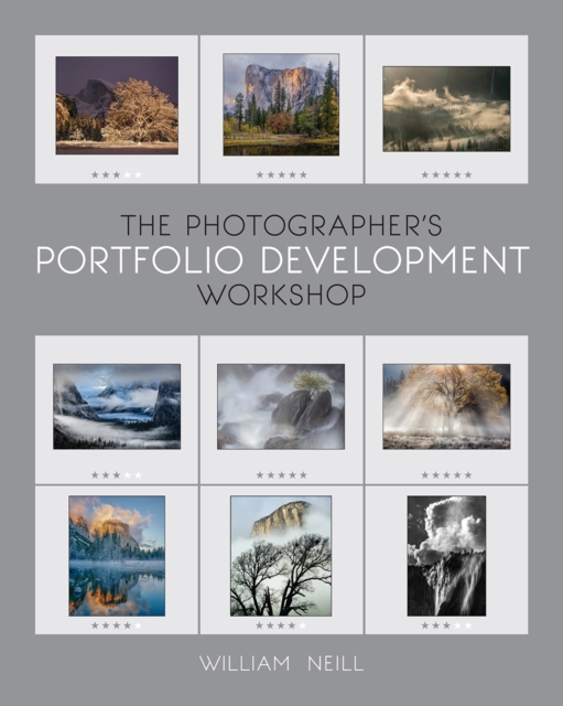 The Photographer's Portfolio Development Workshop : Learn to Think in Themes, Find Your Passion, Develop Depth, and Edit Tightly, PDF eBook