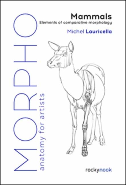 Morpho: Mammals : Elements of Comparative Morphology, Paperback / softback Book