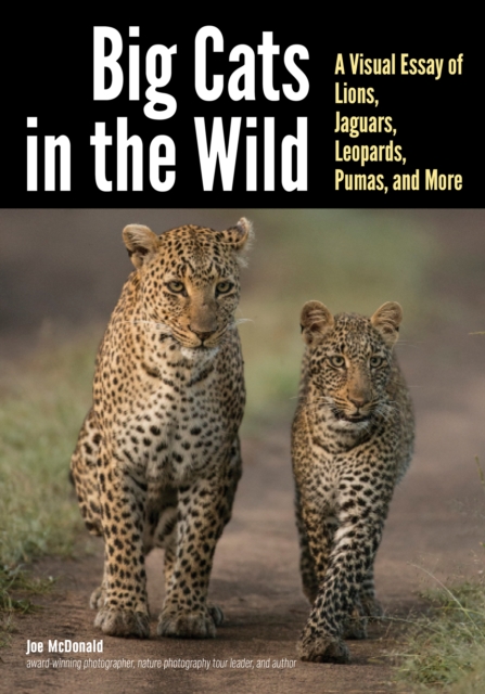 Big Cats in The Wild : A Visual Essay of Lions, Jaguars, Leopards, Pumas, and More, EPUB eBook