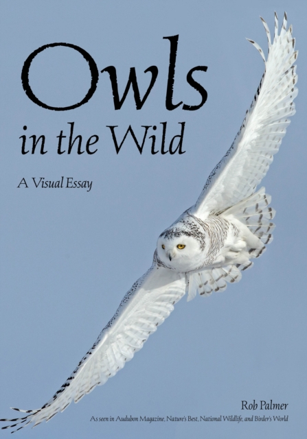 Owls In The Wild : A Visual Essay, EPUB eBook