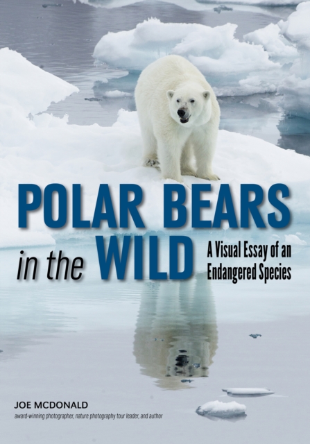 Polar Bears In The Wild : A Visual Essay of an Endangered Species, EPUB eBook