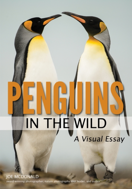 Penguins in the Wild, EPUB eBook