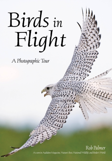 Birds in Flight : A Photographic Essay of Hawks, Ducks, Eagles, Owls, Hummingbirds, & More, EPUB eBook