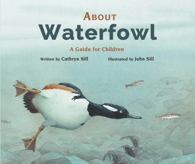 About Waterfowl : A Guide for Children, Hardback Book