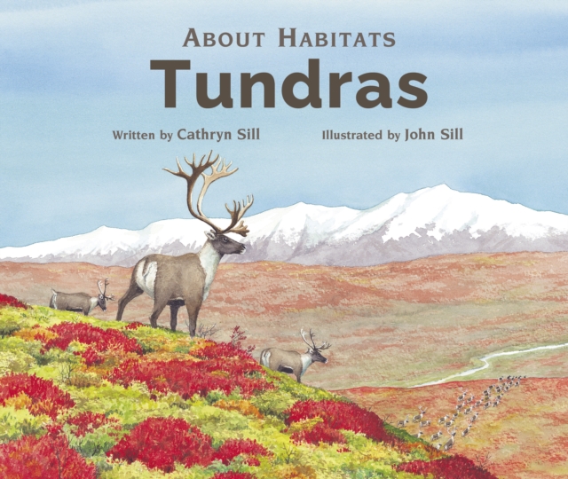 About Habitats: Tundras, Paperback / softback Book