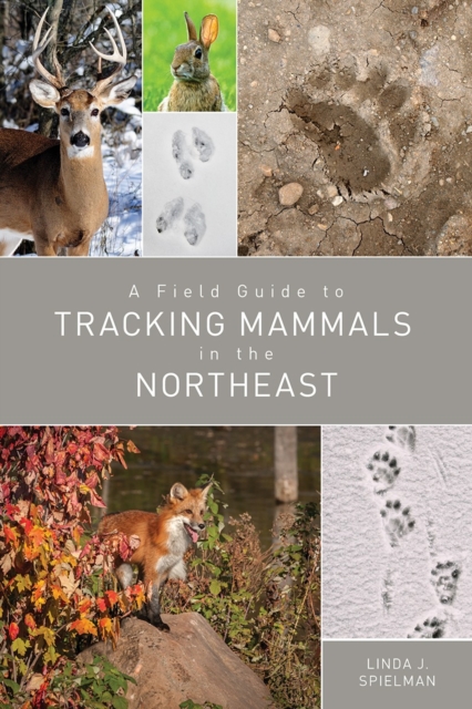 A Field Guide to Tracking Mammals in the Northeast, Paperback / softback Book
