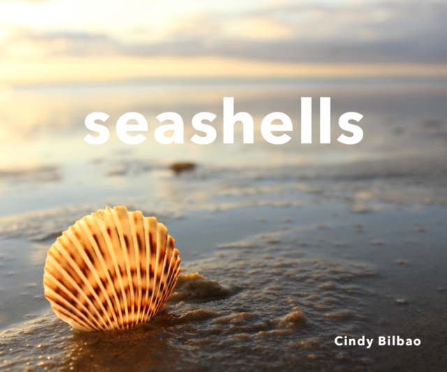 Seashells, EPUB eBook