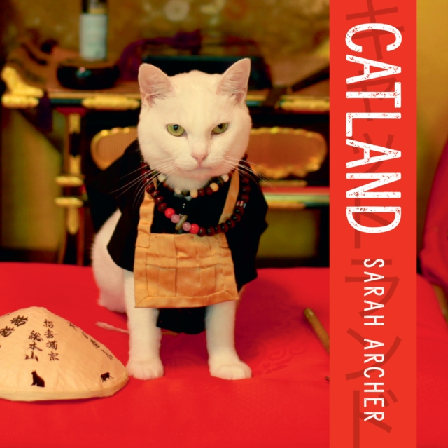 Catland : The Soft Power of Cat Culture in Japan, EPUB eBook