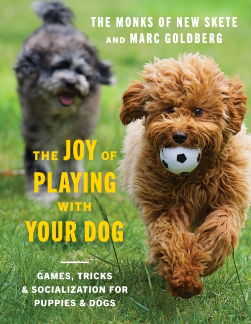 The Joy of Playing with Your Dog : Games, Tricks, & Socialization for Puppies & Dogs, EPUB eBook