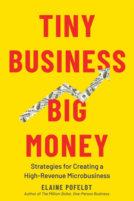 Tiny Business, Big Money : Strategies for Creating a High-Revenue Microbusiness, EPUB eBook