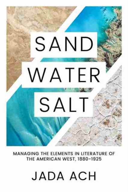Sand, Water, Salt : Managing the Elements in Literature of the American West, 1880-1925, Hardback Book