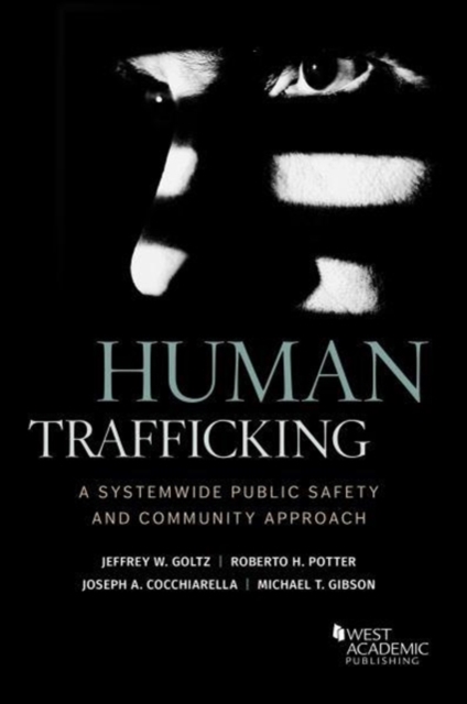 Human Trafficking : A Systemwide Public Safety and Community Approach, Paperback / softback Book