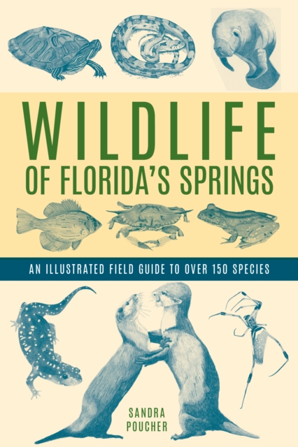 Wildlife of Florida's Springs : An Illustrated Field Guide to Over 150 Species, Paperback / softback Book