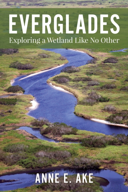 Everglades : Exploring a Wetland Like No Other, Paperback / softback Book