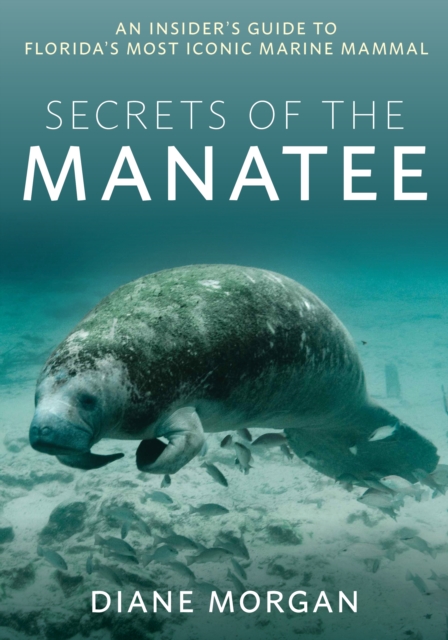 Secrets of the Manatee : An Insider's Guide to Florida’s Most Iconic Marine Mammal, Paperback / softback Book