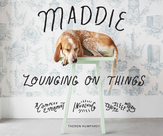 Maddie Lounging On Things : A Complex Experiment Involving Canine Sleep Patterns, EPUB eBook