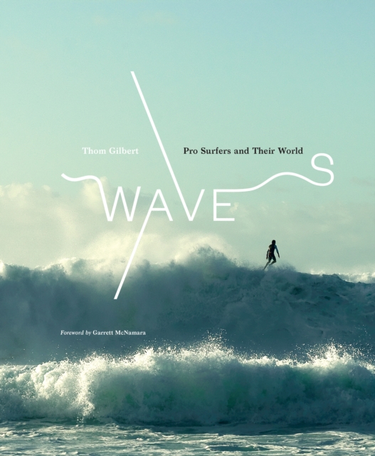 Waves : Pro Surfers and Their World, EPUB eBook
