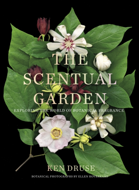 The Scentual Garden : Exploring the World of Botanical Fragrance, EPUB eBook