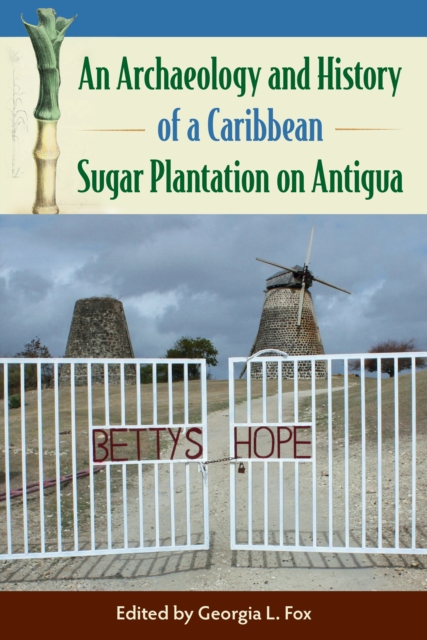 An Archaeology and History of a Caribbean Sugar Plantation on Antigua, PDF eBook